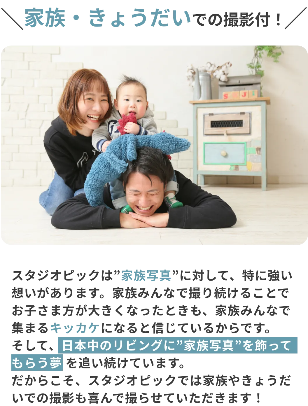 七五三撮影 | 2026年 point 