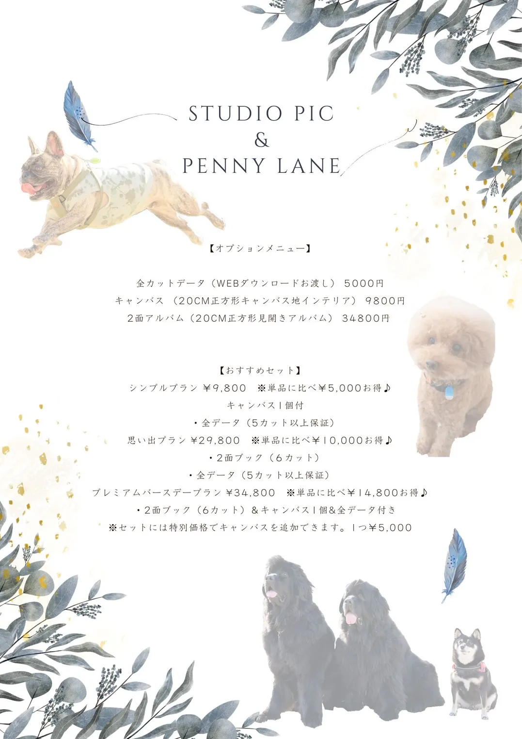 つくば penny lane ペニーレーン スタジオピック ドッグフォト イベント
