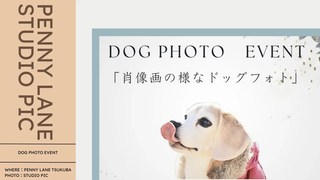 スタジオピック 写真館 Studio PIC 【11/28開催】PENNY LANE 様とのコラボ第3弾！