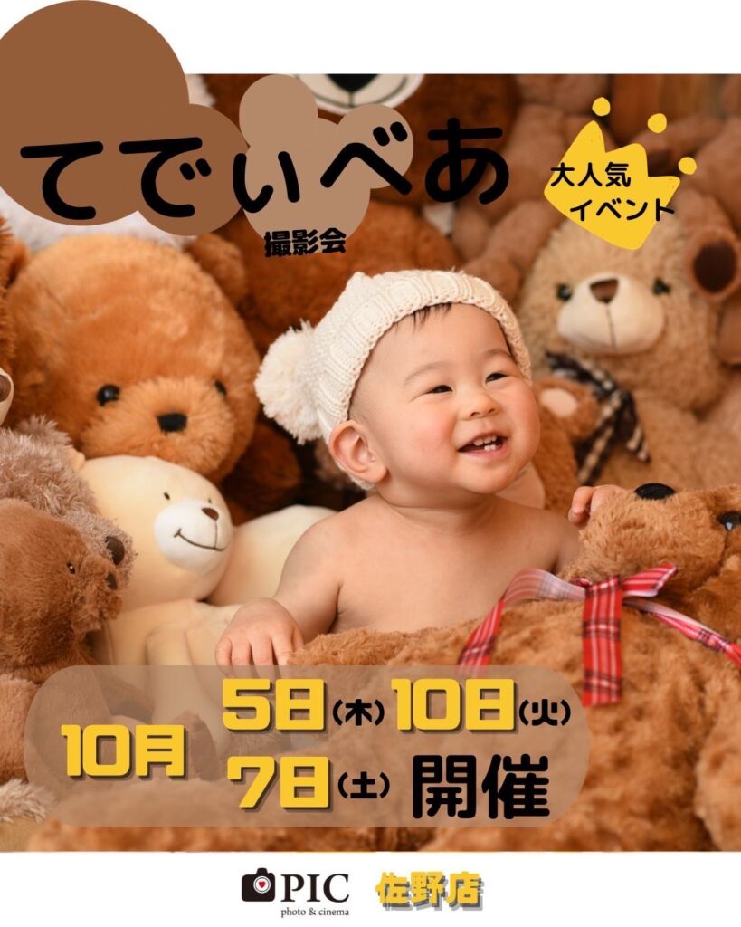 スタジオピック 佐野店 スタッフブログ てでぃべあ撮影会のご案内🧸♡【Studio PIC 佐野店 写真館📸】