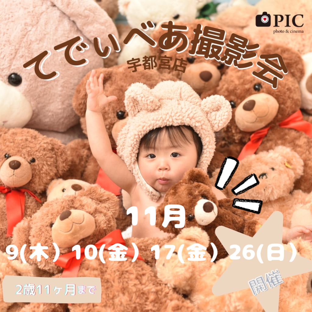 スタジオピック 宇都宮店 スタッフブログ テディベア🐻撮影【studio PIC宇都宮店📸写真館】