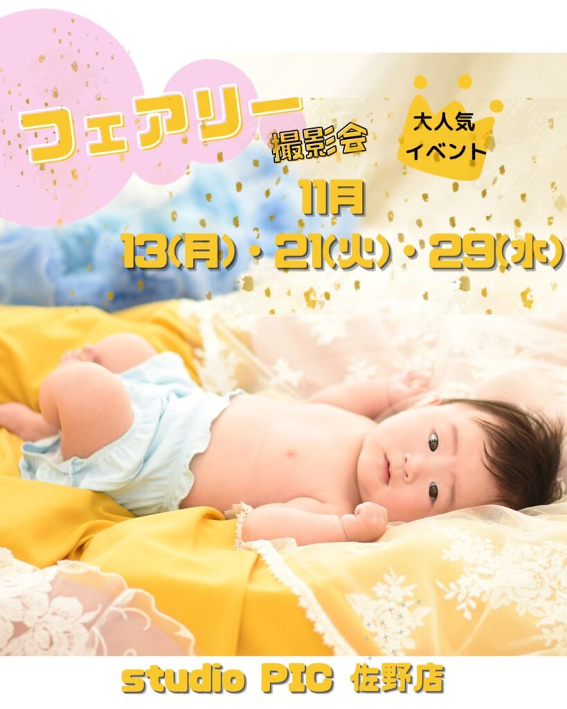 スタジオピック 佐野店 スタッフブログ 11月フェアリーテイル撮影会🧚‍♂️【スタジオピック　佐野店　写真館】