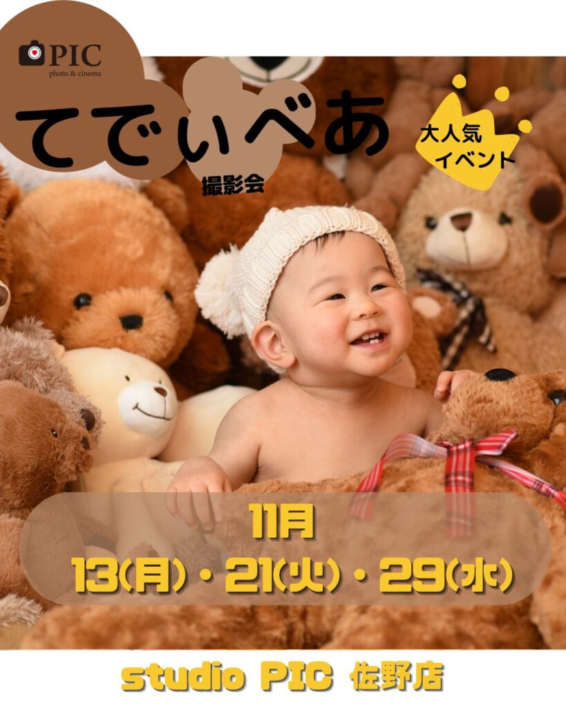 スタジオピック 佐野店 スタッフブログ 11月てでぃべあ撮影会🐻【スタジオピック　佐野店　写真館】