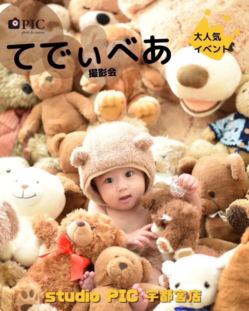 スタジオピック 宇都宮店 スタッフブログ くまちゃんと一緒に🐻【studioPIC宇都宮店✨写真館】