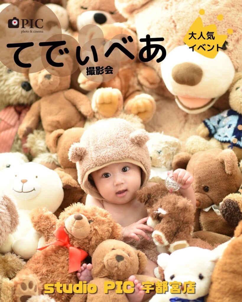 スタジオピック 宇都宮店 スタッフブログ テディベア撮影会🐻【studioPIC宇都宮店⭐️写真館】
