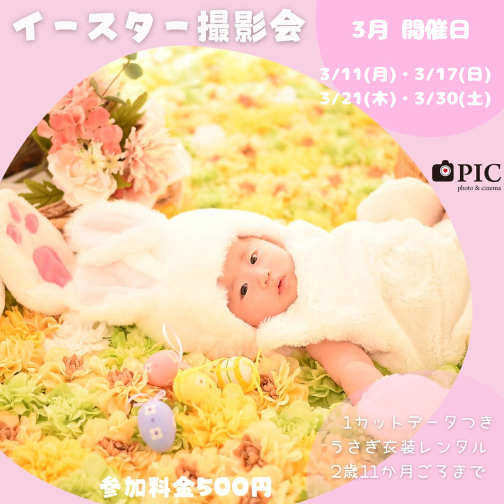 スタジオピック 宇都宮店 スタッフブログ イースター🐣撮影会【studio PIC宇都宮店 写真館】