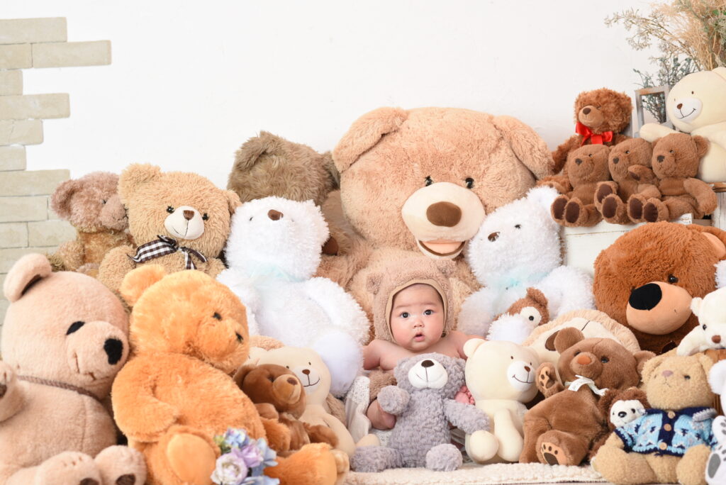スタジオピック 千葉中央店 スタッフブログ てでぃべあ撮影会🧸見学体験会👗6月開催日！
