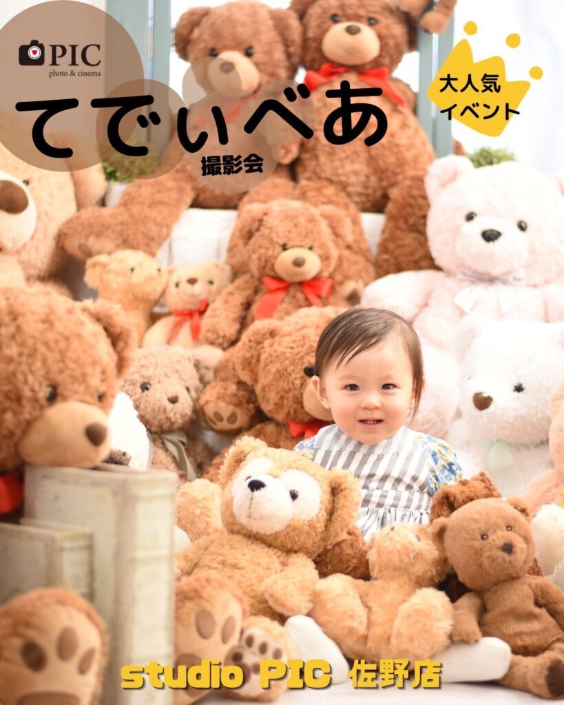 スタジオピック 佐野店 スタッフブログ 7月開催日🌻ででぃべあ撮影会🧸【スタジオピック佐野店 写真館📸】