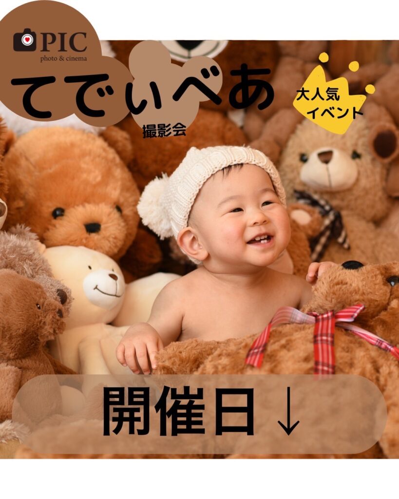 スタジオピック 佐野店 スタッフブログ 急遽開催！！大人気てでぃべあ撮影会🐻【スタジオピック　佐野店　写真館】