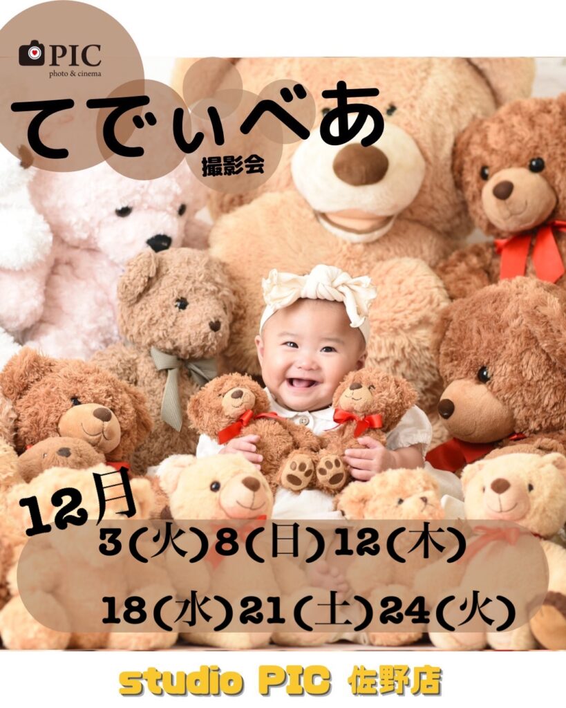 スタジオピック 佐野店 スタッフブログ 12月てでぃべあ撮影会開催日🧸【スタジオピック 佐野店　写真館📸】
