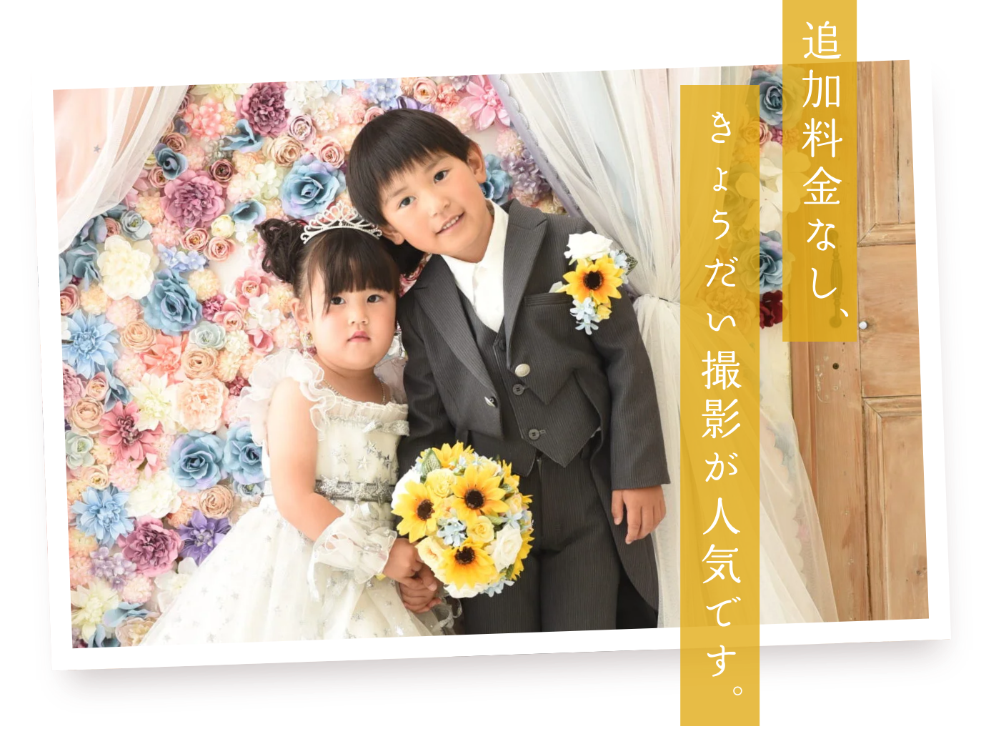 追加料金なし、きょうだい撮影が人気です。