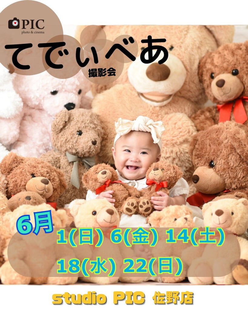 スタジオピック 佐野店 スタッフブログ 6月｜てでぃべあ撮影会🧸【スタジオピック　佐野店　写真館】