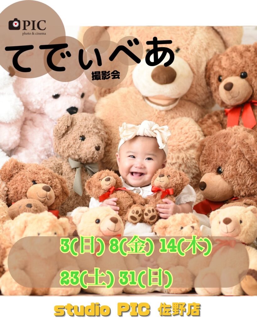 スタジオピック 佐野店 スタッフブログ てでぃべあ🧸撮影会 8月開催日🌟【スタジオピック佐野店 写真館📸】