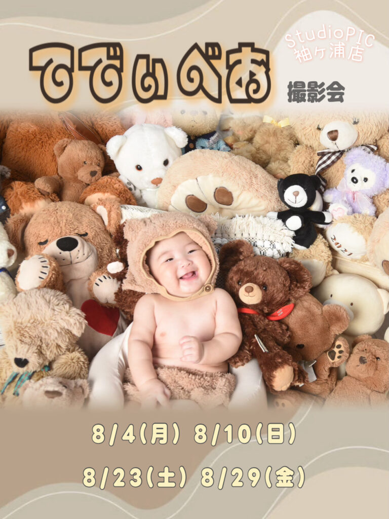 スタジオピック 写真館 Studio PIC 【お知らせ】8月｜てでぃべあ撮影会🧸