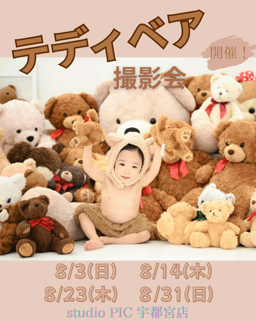 スタジオピック 写真館 Studio PIC 8月｜テディベア撮影会🧸【studioPIC宇都宮店✨写真館】