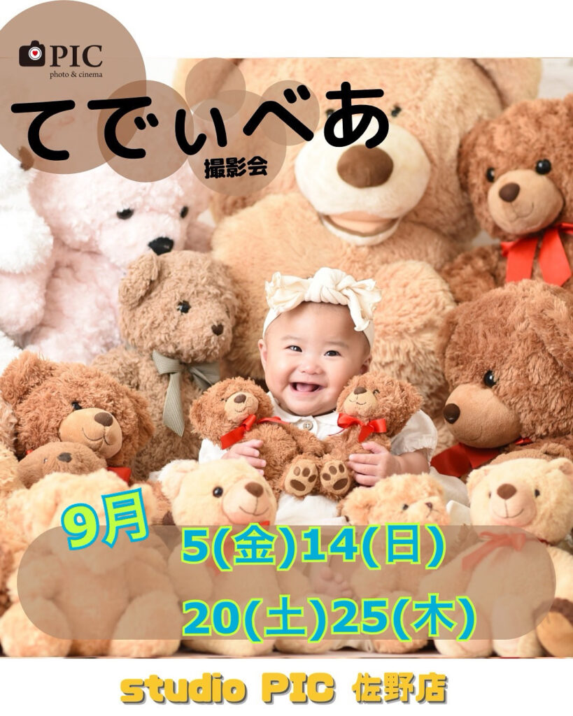 スタジオピック 写真館 Studio PIC てでぃべあ🧸撮影会 9月開催日🌟【スタジオピック佐野店 写真館📸】