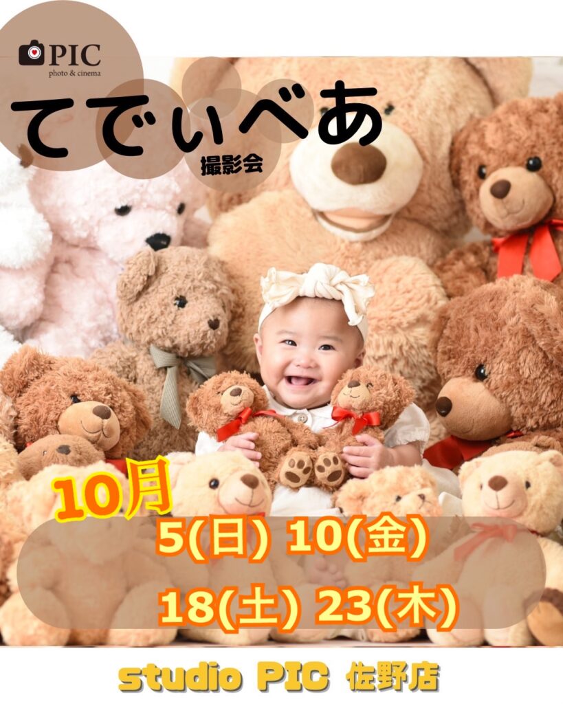 スタジオピック 佐野店 スタッフブログ てでぃべあ🧸撮影会 10月開催日🌟【スタジオピック佐野店 写真館📸】
