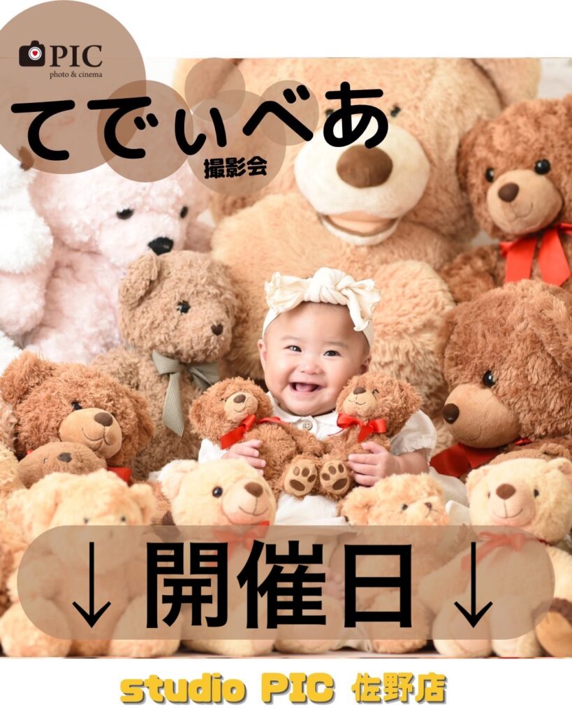 スタジオピック 佐野店 スタッフブログ 11月イベント撮影会🧸【スタジオピック佐野店 写真館📸】