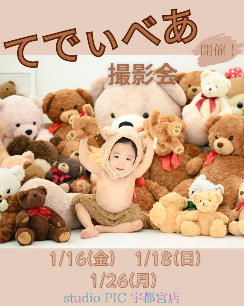 スタジオピック 写真館 Studio PIC 1月｜テディベア撮影会🧸【studioPIC宇都宮店✨写真館】