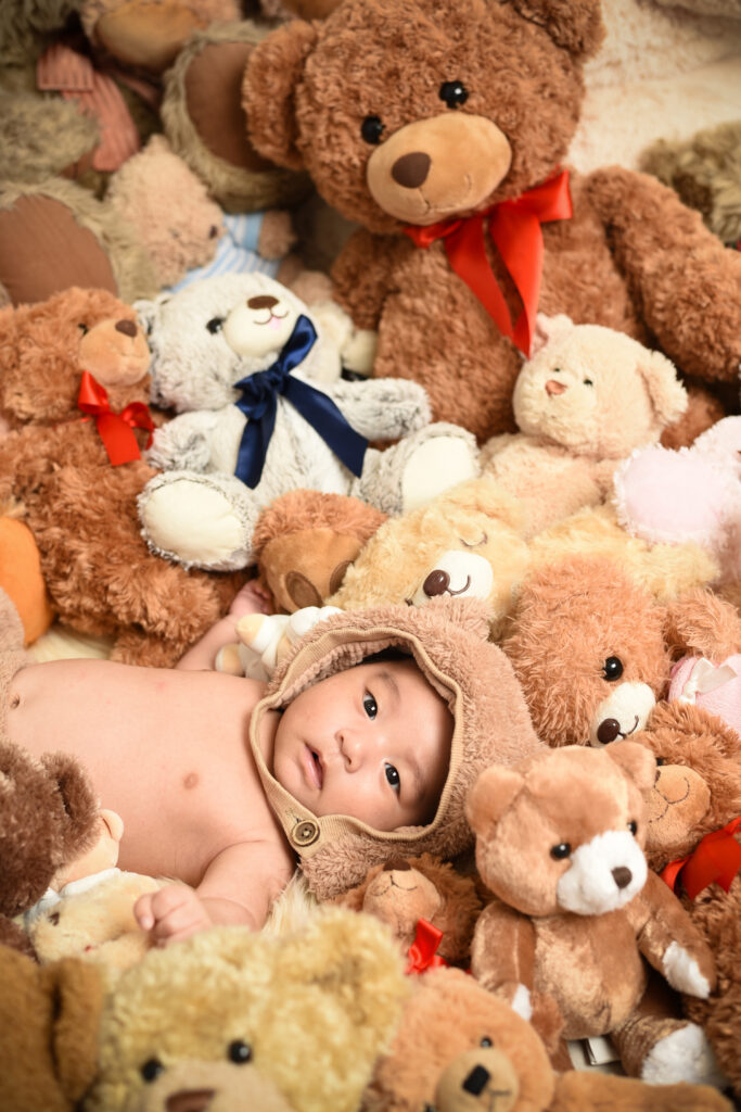 スタジオピック 写真館 Studio PIC 🐻くまちゃんに紛れちゃってます🧸