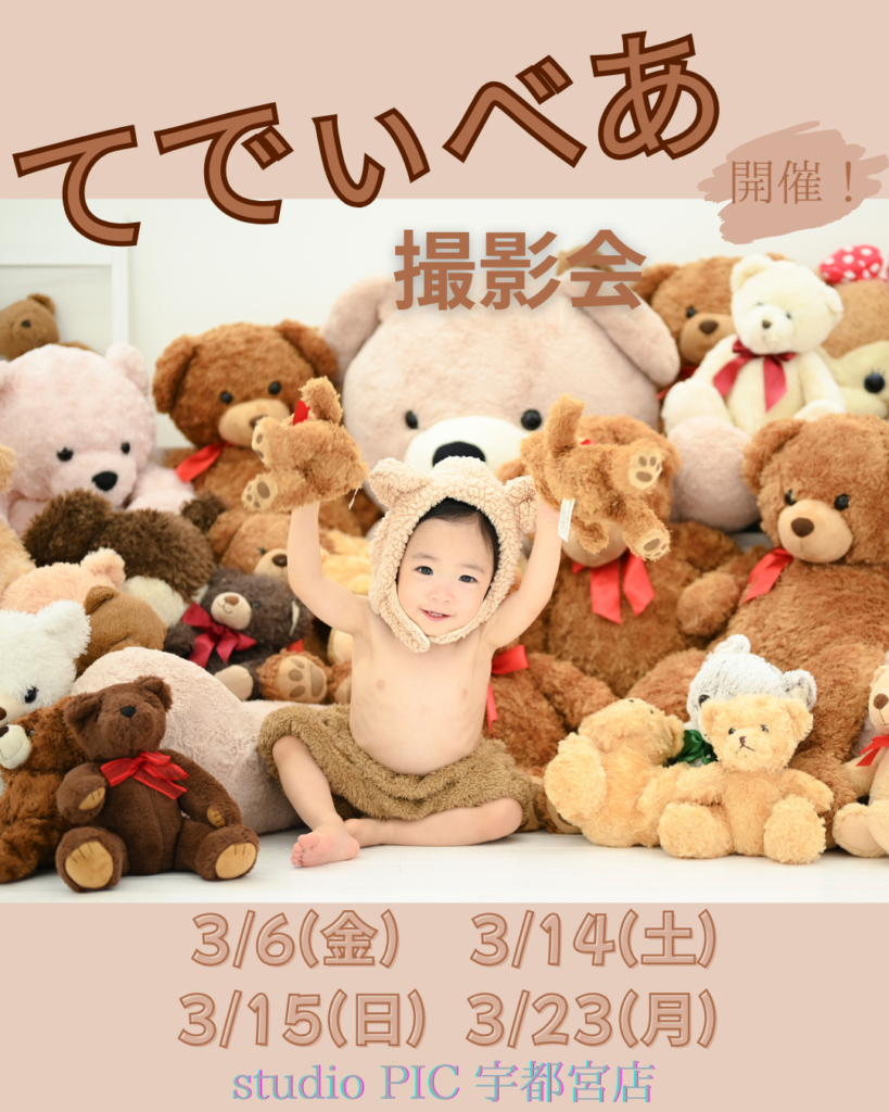 スタジオピック 写真館 Studio PIC 3月｜テディベア撮影会🧸【studioPIC宇都宮店✨写真館】