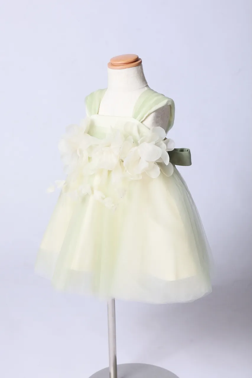 スタジオピック 写真館 スタジオ Studio PIC 衣装画像 タグ 