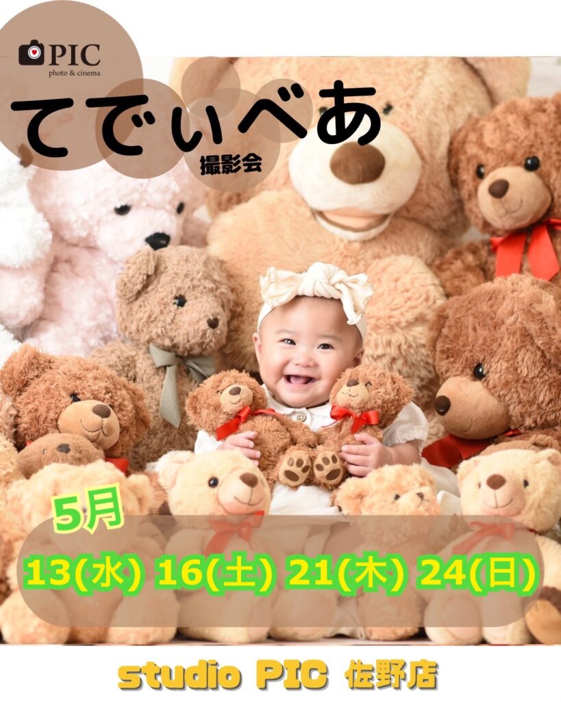 スタジオピック 佐野店 スタッフブログ 5月てでぃべあ🧸撮影会開催日✨【スタジオピック佐野店 写真館📸】