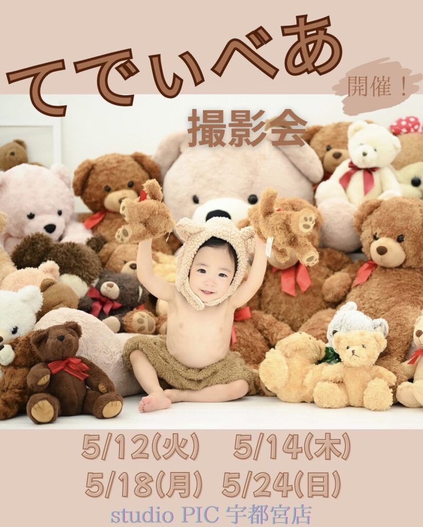 スタジオピック 写真館 Studio PIC 5月｜テディベア撮影会【スタジオピック宇都宮店✨写真館】