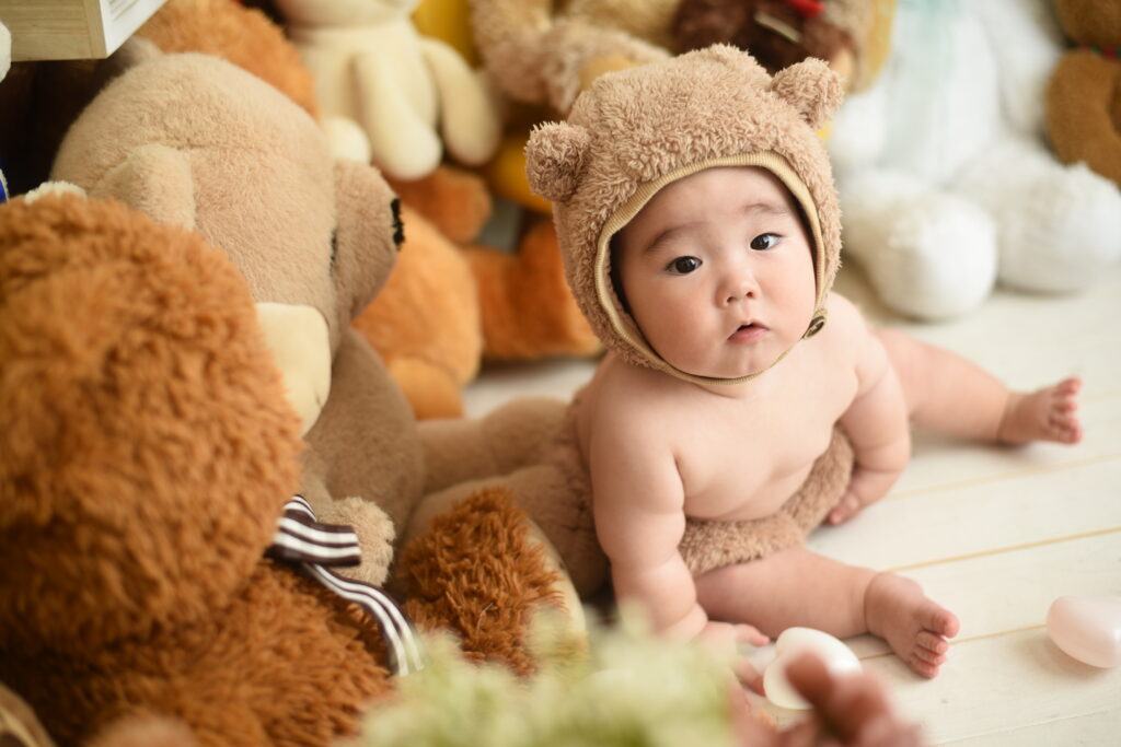 スタジオピック 新松戸店 スタッフブログ 🧸てでぃべあ撮影会実施中🧸