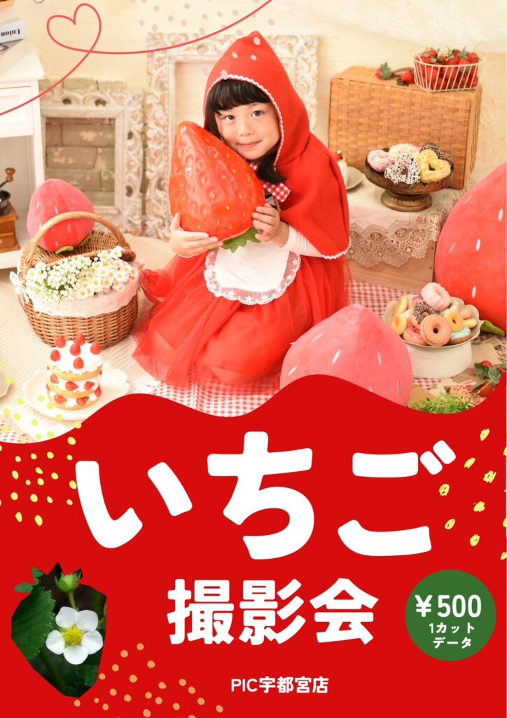 スタジオピック 宇都宮店 スタッフブログ 8月｜ストロベリー撮影会【スタジオピック宇都宮店✨写真館】